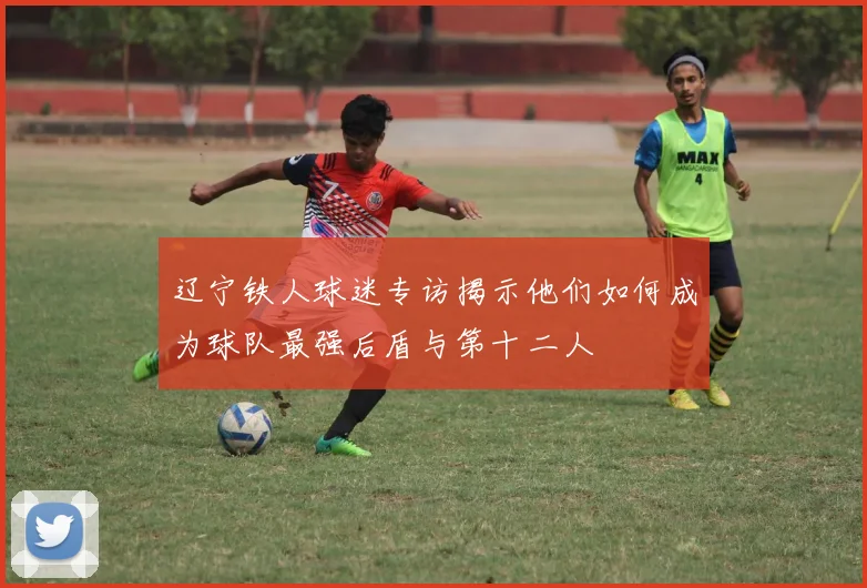 辽宁铁人球迷专访揭示他们如何成为球队最强后盾与第十二人